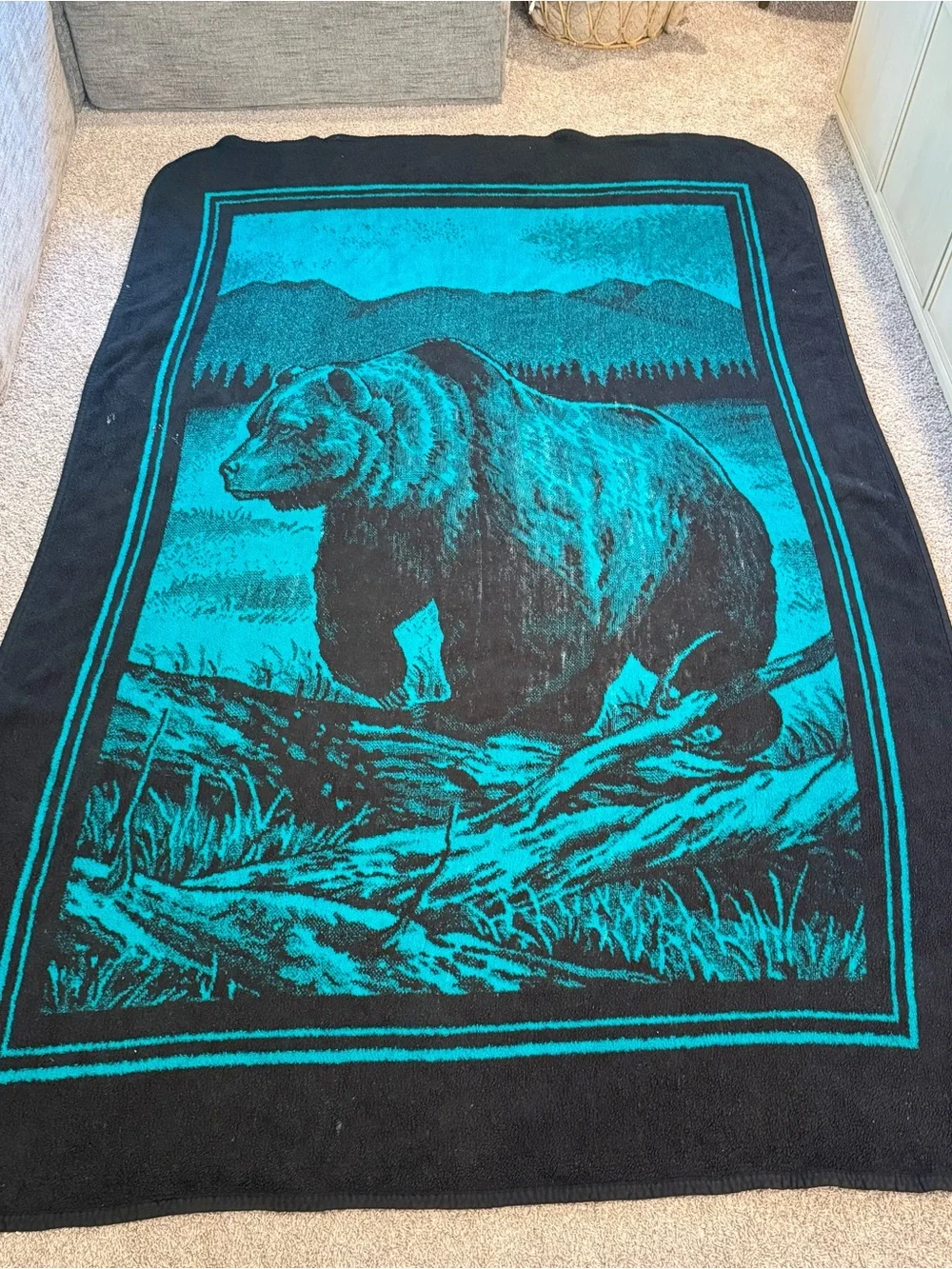 San Marcos vintage grizzly bear teal green blanket reversible 90s